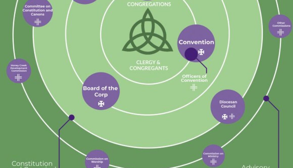 DioceseofGeorgia-governancewithTriquetra